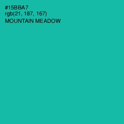 #15BBA7 - Mountain Meadow Color Image
